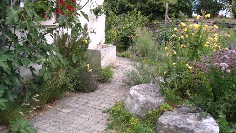 Zollinger Stettler  – Gartengestaltung GmbH