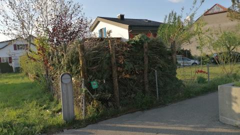 Roman Moriggl ökologische Gärten Beispielbild