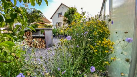 Oeschger Gartengestaltung Beispielbild