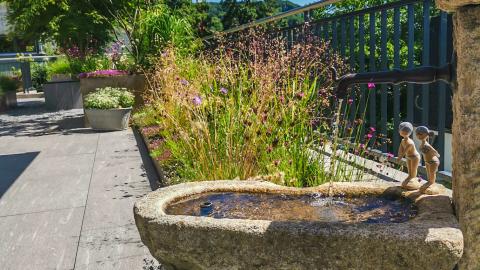 Oeschger Gartengestaltung Beispielbild