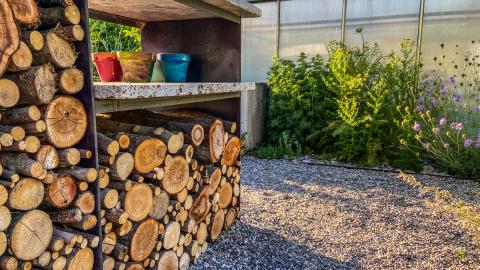 Oeschger Gartengestaltung Beispielbild