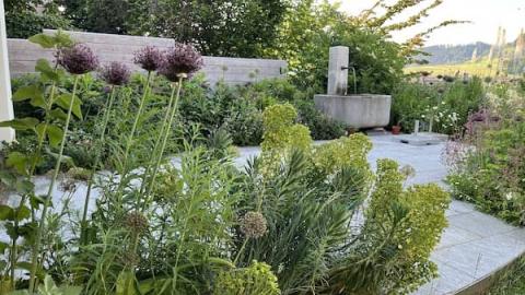 Wildstaudengarten