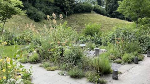 Wildstaudengarten