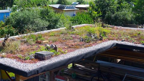 Natur_Garten_Reck