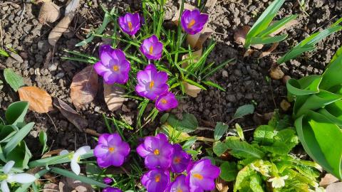 Bild 0