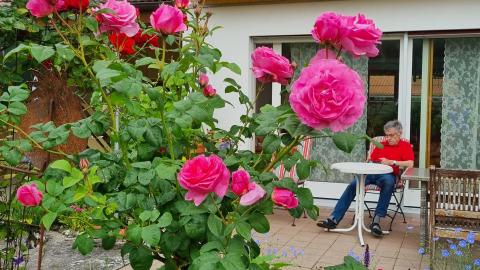 Bild 5