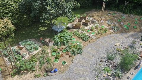 Gemüsegarten