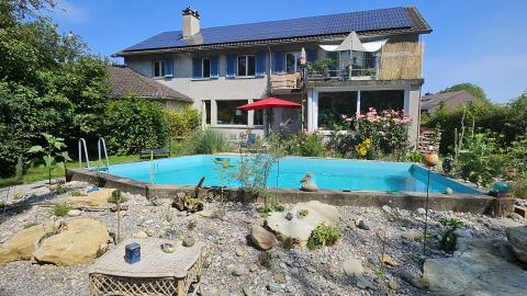 Ruderalfläche am Pool
