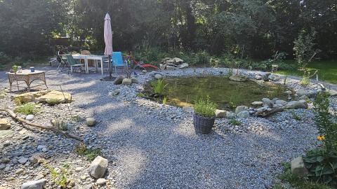 Wasser-Biotop