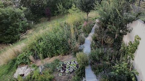 Gemüsegarten