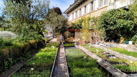 Garten Katrin Morina & Thomas Schmutz