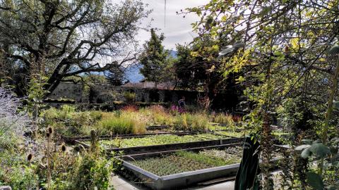 Garten Katrin Morina & Thomas Schmutz