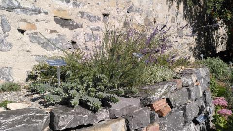 Garten Katrin Morina & Thomas Schmutz