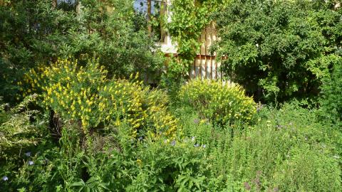 Garten Katrin Morina & Thomas Schmutz