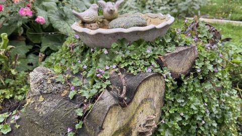 Wildwerk Manufaktur Biogärtnerei
