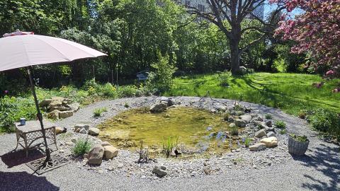 Biotop mit hinterem Garten mit Walnussbaum