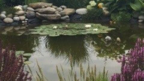Garten Barbara Baumann