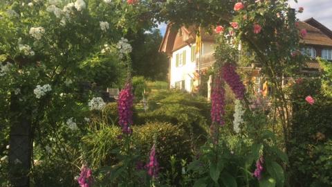 Garten Barbara Baumann
