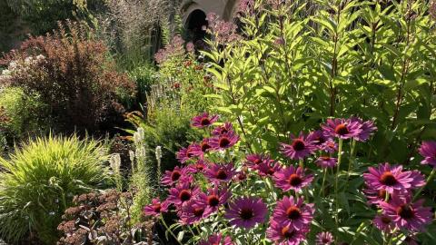 Staudenbeet