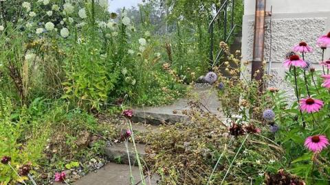 Treppe und Wildstauden