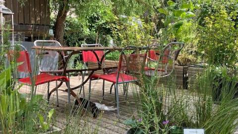 Sitzplatz im Naturgarten mit Katze