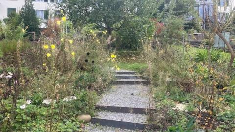 Kiesweg durch Wildstaudenbeete