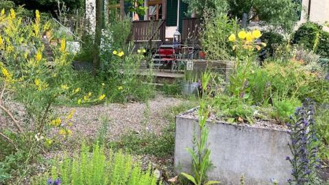 Naturgarten mit Kiesplatz