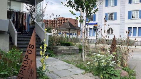 naturnaher Eingangsbereich eines Coiffeurs