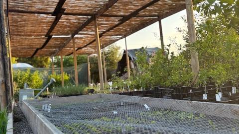 Wildwerk Manufaktur Biogärtnerei