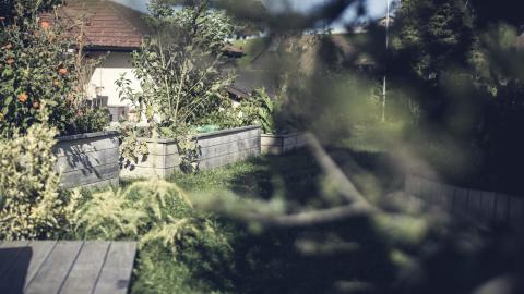 Garten durch Baum hindurch fotografiert