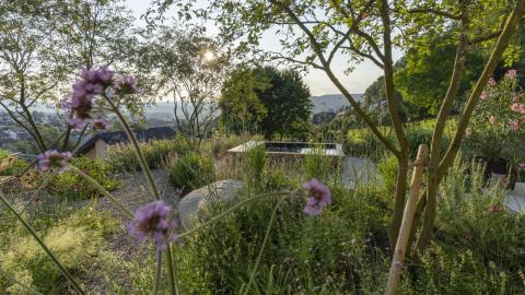 Oeschger Gartengestaltung Beispielbild