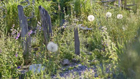naturban Naturgarten