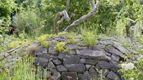 naturban Naturgarten