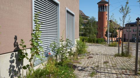 naturban Naturgarten