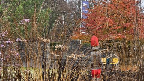 Herbst