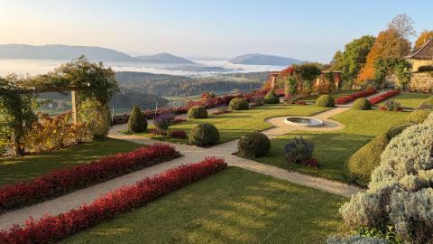 Schloss Wartenfels Bild von Daniela Goll