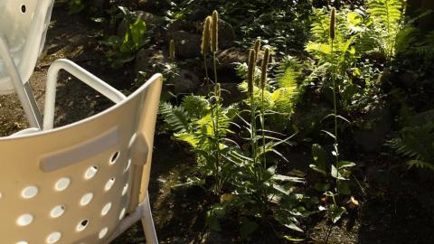 Holdener Naturgartenbau