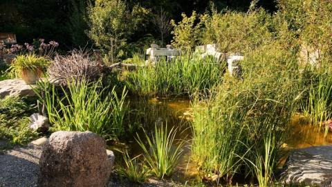 Holdener Naturgartenbau