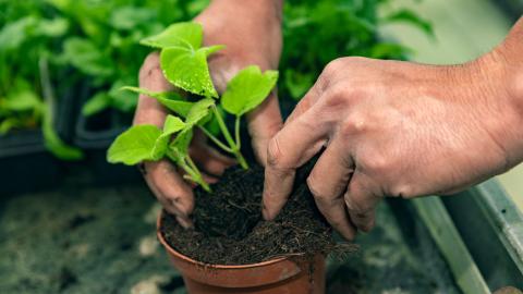 Stiftung Neuhof - Biogärtnerei