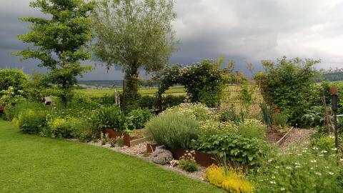 Gemüsegarten und Beeren