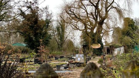 Haselhof Gärtnerei in Remigen, vormals Eulenhof