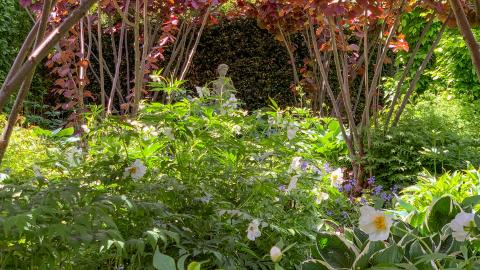 Haselgarten (Schattengarten)
