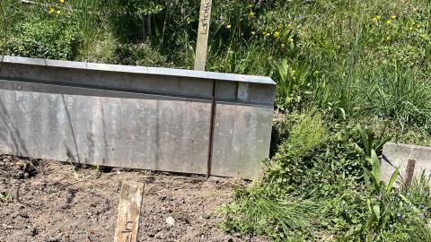 Bepflanzung auf Hügelbeeten