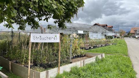 Uetendorf Sträucherei
