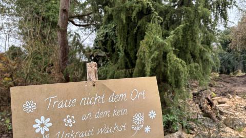 Die Achtsamkeit und Wertschätzung  eines Naturgarten 