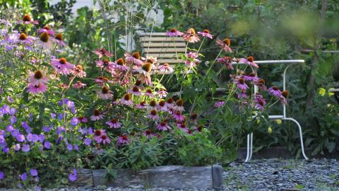 Lieblingspaltz im Garten_© Fetzer Gartengestaltung GmbH