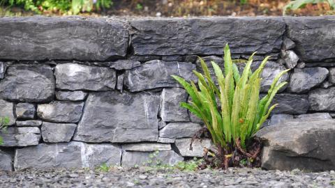 Wunderbarer Handwerk_© Fetzer Gartengestaltung GmbH