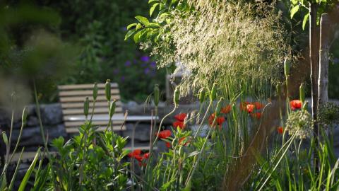 Tag des offenen Gartens_© Fetzer Gartengestaltung GmbH