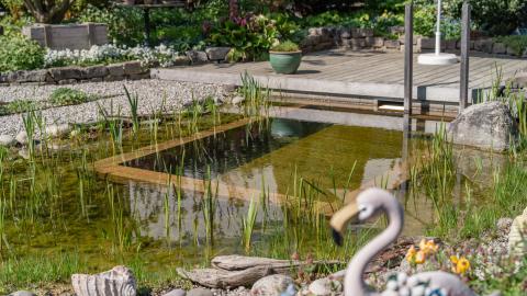 Schwimmteich, Foto: A. Zimmermann