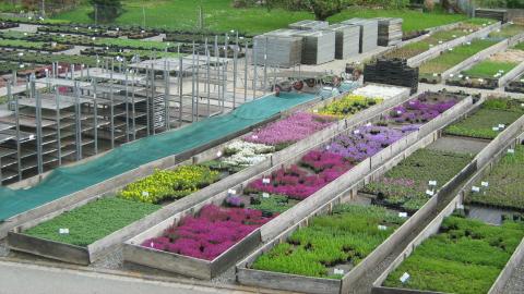 Blumenladen und Biogärtnerei Hospenthal-Kägi